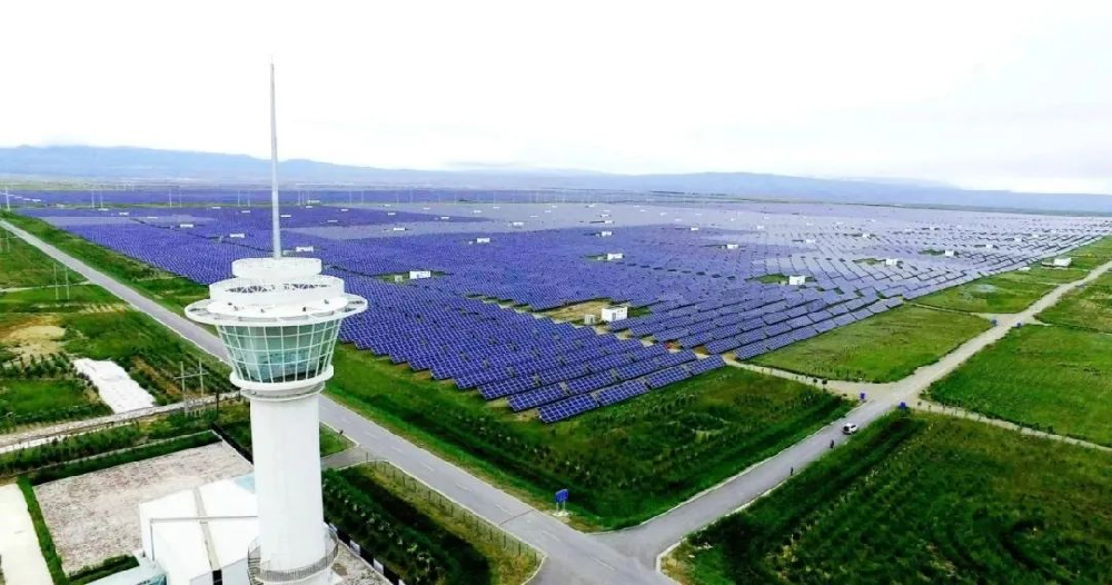 The 